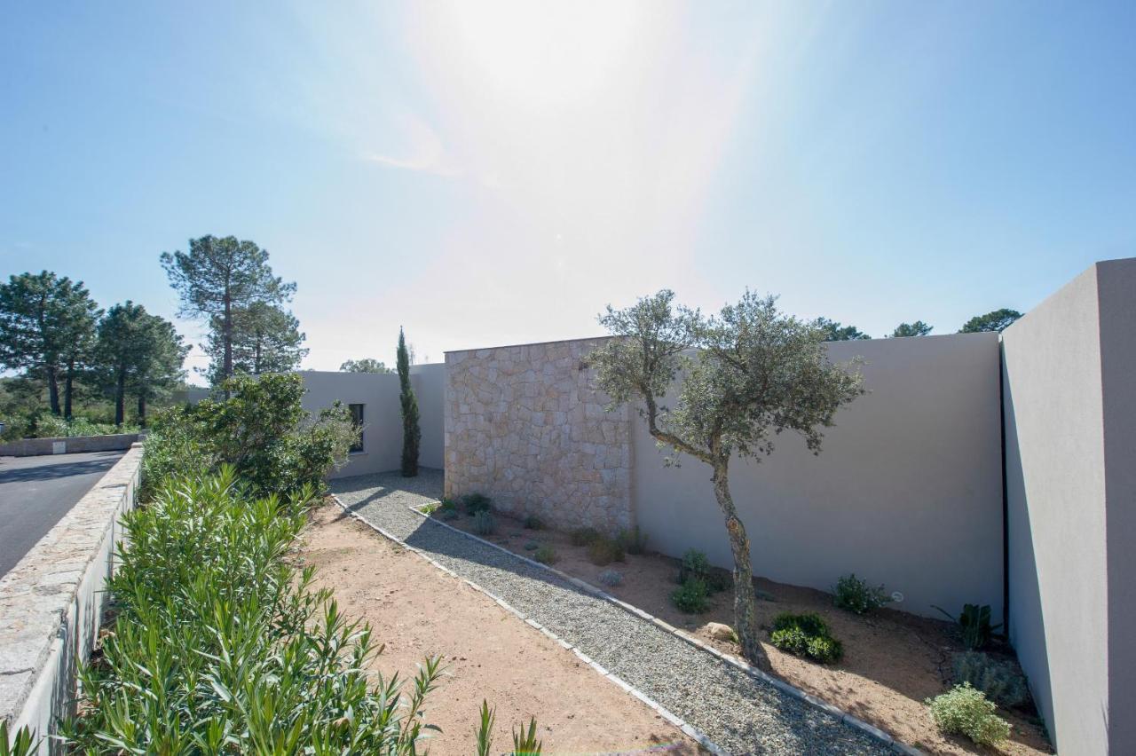 Villa calme luxueuse et proche plage saint-cyprien Lecci Extérieur photo